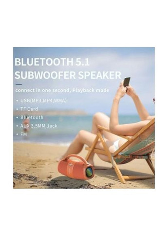 Портативна колонка H60 Blue Hopestar (330028450)