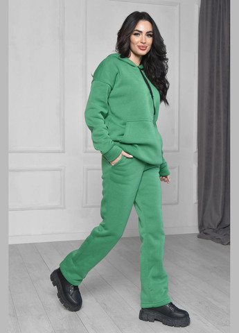Спортивный костюм женский на флисе зеленого цвета Let's Shop (277228622)