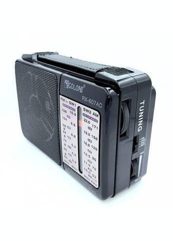 Радіоприймач на двох батареях RX-607 USB/SD (1756375725) Golon (326033147)