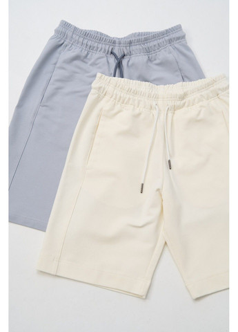 Набір спортивних шортів чоловічих SUMMER 2 шт (молочні, сіроблакитні) Handy Wear (295547802)