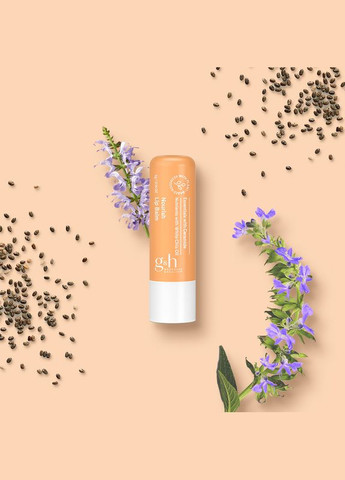 G&h GOODNESS & HEALTH™ Питательный бальзам для губ Амвей New Trend (323428222)