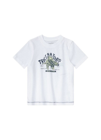 Набір лонгслів і футболка для хлопчика Lupilu (289533904)