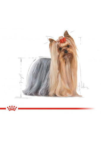 Влажный корм в паучах Yorkshire Terrier Adult 85 г (20400010) Royal Canin (317171199)
