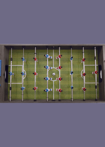 Настольный футбол F-2 Grey Oak (F2GRRLNO) Garlando (346531244)