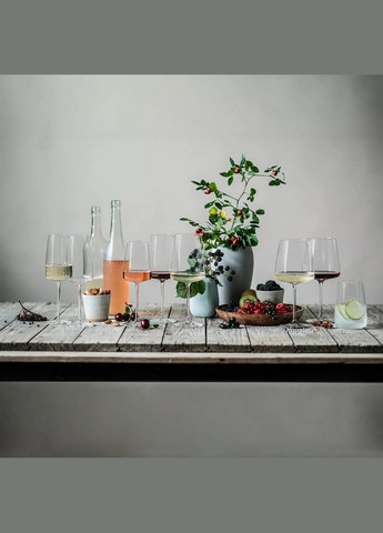 Комплект келихів для ігристого вина Light and Fresh Sparkling 388 мл 2 шт Schott Zwiesel (316618632)