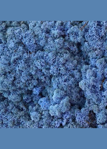 Стабілізований мох ягель Лавандовий 3 кг Nordic moss (276401106)