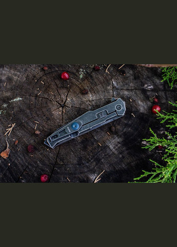 Ніж складаний P108-SB Ruike (353505524)