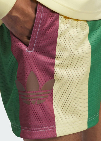 Шорты Allover Print (унисекс) adidas (304792023)