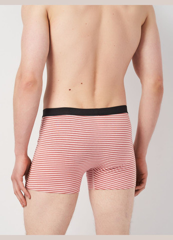 Труси (3шт) Basic Collection (295079715)