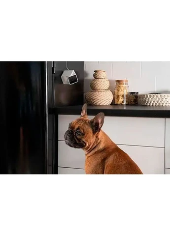Камера видеонаблюдения за домашними животными Cam CC10US [87035] Petcube (399970876)