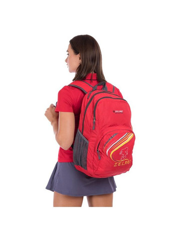 Рюкзак спортивний з жорсткою спинкою GA-3705 (нейлон, р-р 49х30х13см, 20л, Червоний) (GA-3705_Червоний) Zelart (361437234)