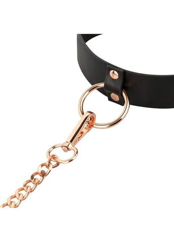 Нашийник з повідцем Rosy Gold with Leash - Black Collar (315014042)