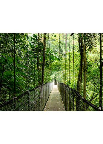 Ноутбук B9ZJ0ET Probook 4-G1a 16" WUXGA IPS, AMD R3-210, 8GB, F512GB, UMA, DOS, HP (361965806)