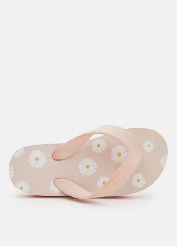 В'єтнамки Angulus (328412000)