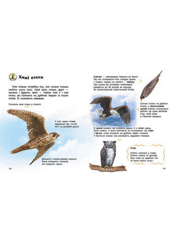 Енциклопедія дошкільника Птахи 614032 для найменших No Brand (326839480)