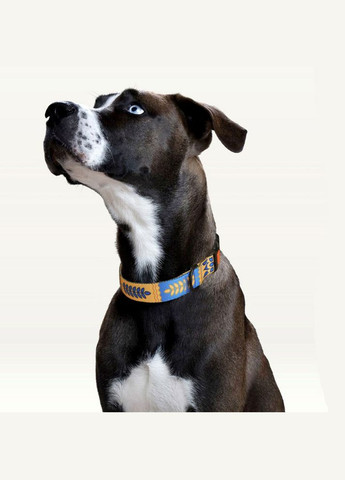 Ошейник Колосок размер L ширина 25 мм длина 35-45 см (2100103051010) Hi Dog (332878758)
