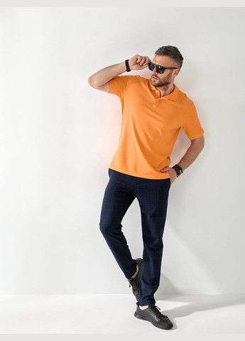 Чоловічі футболки з поло Fashion (337469005)