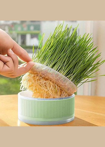 Лоток для гідропонного вирощування мікрозелені та розсади круглий зелений (NR0169_2) No Brand (303898413)