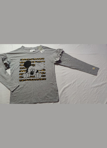 Жіночий лонгслів з малюнком, розмір s(36/38), m(40/42), сірий Disney (303125892)