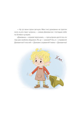 Домовой из сети «Чок-Чок» Видавництво Старого Лева (370057820)