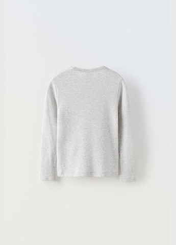 Серый демисезонный праздничный, коктейльный, спортивный, деловой, домашний, карнавальный, повседневный, кэжуал, джинсовый, вечерний лонгслив Zara американский флаг