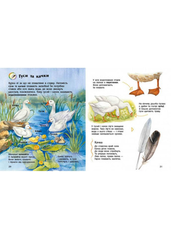 Енциклопедія дошкільника Домашні тварини 614029 для найменших Ranok Creative (363205610)