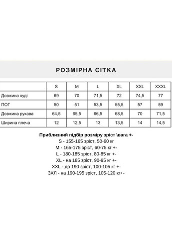 Худі чоловіче зимове хутро Тедді. Кофта Тедді чоловіче No Brand (372922713)