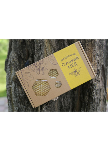 Стільниковий мед акації Медові ласощі (373019774)