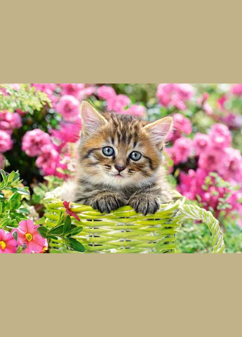 Пазл Кошеня в квітнику 500 деталей Castorland (322927961)