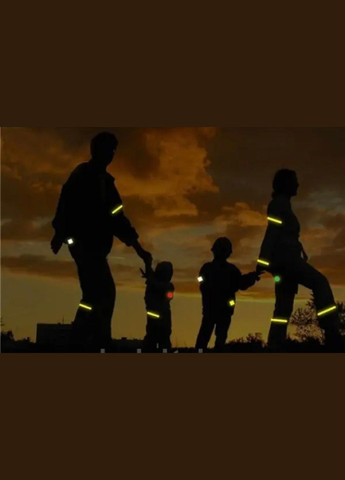 Браслет світловідбиваючий дорожній, браслет на руку неоновий 30см No Brand (302313951)