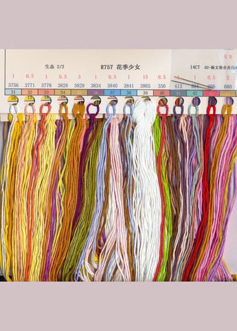 Набор для вышивания "The young girl".AIDA 14CT, 29*48 см. БЕЗ нанесения на канву схемы Joy Sunday (313614606)