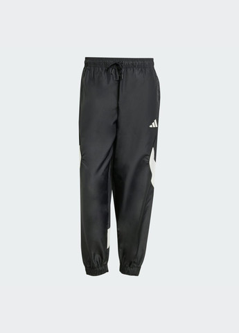 Спортивні штани Stadium adidas (355888498)