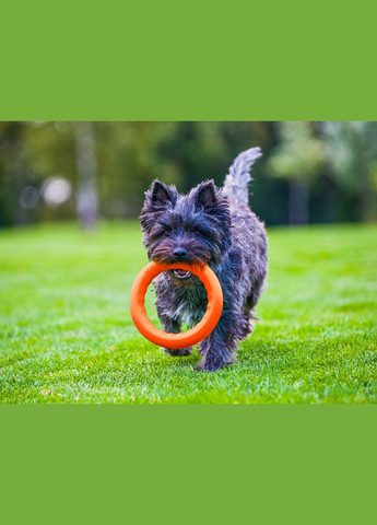 Кільце для апортування 30 д-28 см Жовтогаряче PitchDog (329994223)