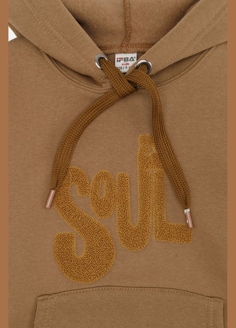 Худі для хлопчика колір кавовий ЦБ-00260717 Ifba (303722255)