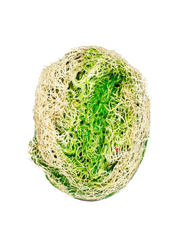 Натуральное мыло скраб с люфою с ароматом арбуза Top Beauty (367989951)