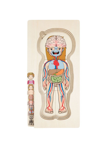 Многослойный деревянный пазл-головоломка Анатомия девочка разноцветный Playtive (292715128)