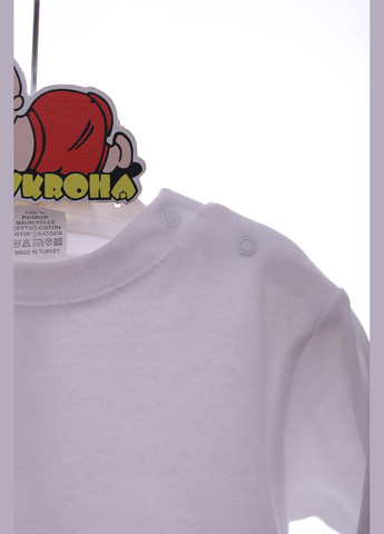 Серый демисезонный костюм с длинным рукавом для мальчика трикотажный песик серый 74 см (41676) Nafitto