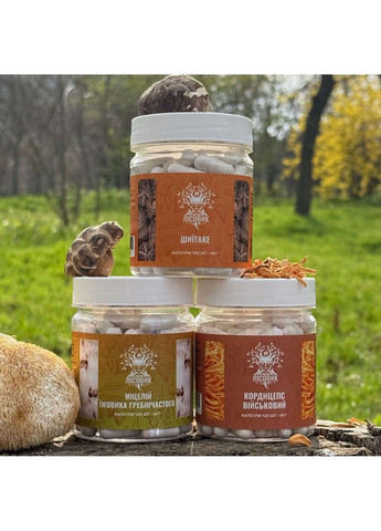 Курс Focus Flow Концентрация и продуктивность (1 месяц) Лесовик Лісовик (364210479)