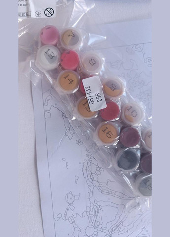 Дівчата картини за номерами Набір для розпису на полотні Східна краса Живопис по номерам 40x50 із золотою фарбою GS1083 Strateg (308987997)