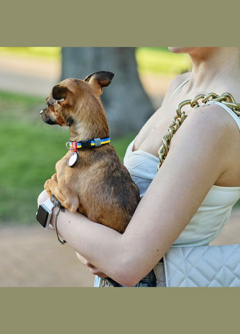 Ошейник для мелких пород собак нейлоновый Nylon c QR-паспортом, рисунок "Colors of freedom", XS, Ш 10 мм, Дл 20-30 см WAUDOG (330245309)