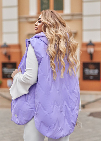 Демісезонний жилет No Brand (304428600)