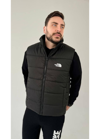 Мужская жилетка Плащевка синтепон No Brand (361847619)