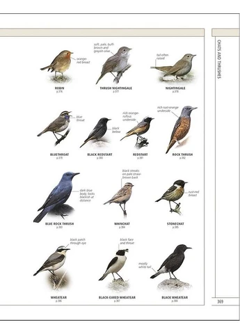 RSPB Повні птахи Британії та Європи DK (386497533)