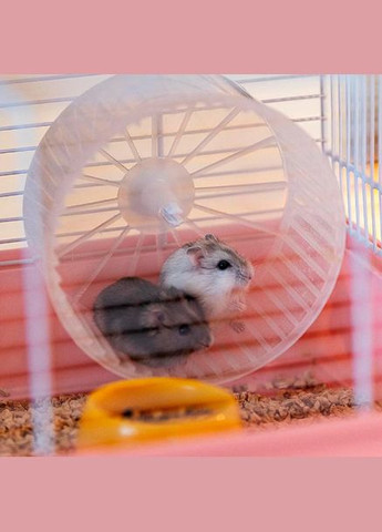 Клетка для хомяков Criceti 9 Princess розовая 46х29.5х23 см 57009062 Ferplast (266274412)