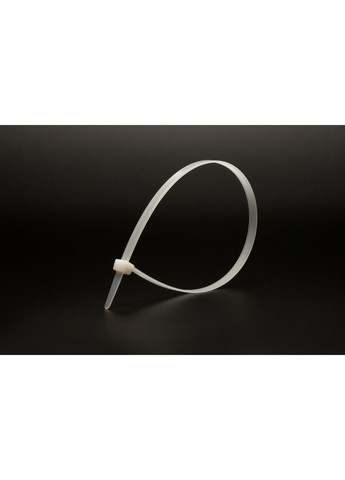 Хомут нейлоновий 4.8х250 мм 100 шт білий 20-1814 Mastertool (365626798)