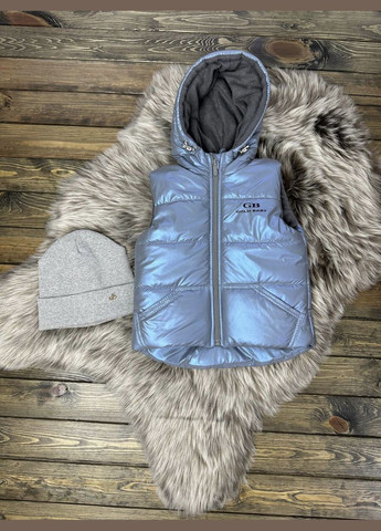 Безрукавка на флісі, капюшон не відстібний No Brand (279754347)