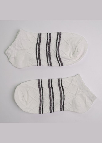 Белые набор носков женских хлопковых 10 пар youstar 092 низкие 37-41 белый GM Textile (339042283)