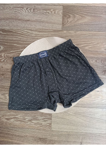 Чоловічі сімейні бавовняні труси, DoReMi (329427260)