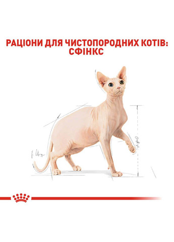 Сухой корм для взрослых кошек Sphynx Adult 10 кг Royal Canin (286472588)