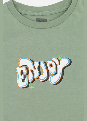Оливковая летняя футболка с коротким рукавом для мальчика цвет оливковый цб-00246183 No Brand